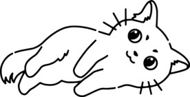猫