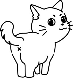 猫