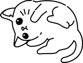 猫