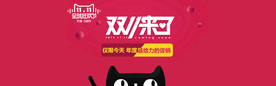 双11 双12购物节