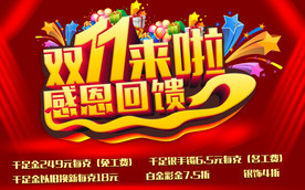 双11 双12购物节