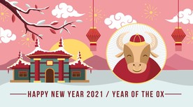 牛 新年展板背景