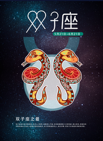 手绘插图双子座海报