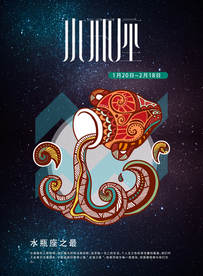 手绘插图水瓶座海报