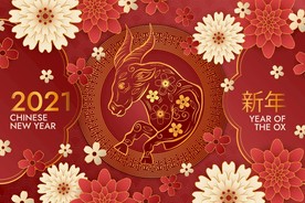 牛 新年展板背景