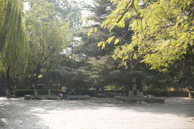 湖畔 风景 名胜 公园 大明湖