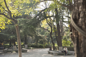 湖畔 风景 名胜 公园 大明湖