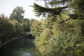 湖畔 风景 名胜 公园 大明湖