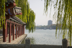 湖畔 风景 名胜 公园 大明湖