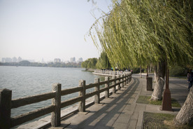 湖畔 风景 名胜 公园 大明湖