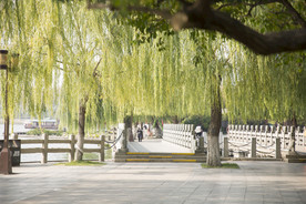 湖畔 风景 名胜 公园 大明湖