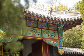 湖畔 风景 名胜 公园 大明湖