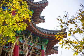 湖畔 风景 名胜 公园 大明湖