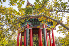 湖畔 风景 名胜 公园 大明湖