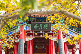 湖畔 风景 名胜 公园 大明湖