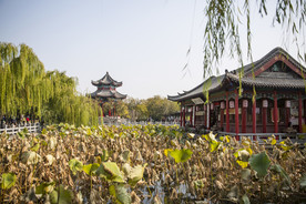 湖畔 风景 名胜 公园 大明湖