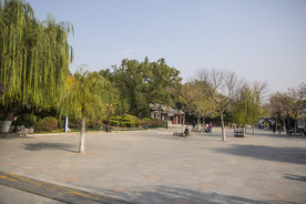 湖畔 风景 名胜 公园 大明湖