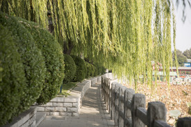 湖畔 风景 名胜 公园 大明湖