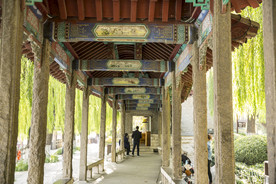 湖畔 风景 名胜 公园 大明湖