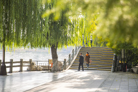 湖畔 风景 名胜 公园 大明湖
