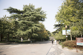 湖畔 风景 名胜 公园 大明湖