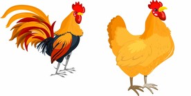 鸡 矢量