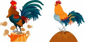 公鸡 矢量