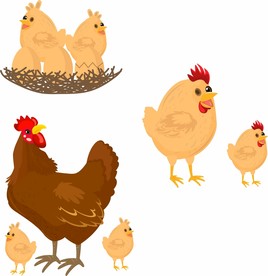 母鸡 矢量
