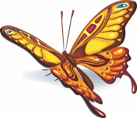 蝴蝶 矢量