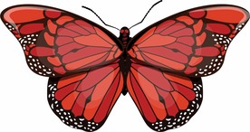 蝴蝶 矢量