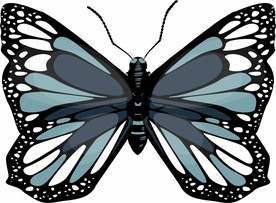 蝴蝶 矢量
