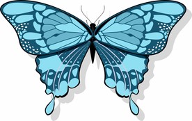 蝴蝶 矢量