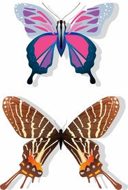 蝴蝶 矢量