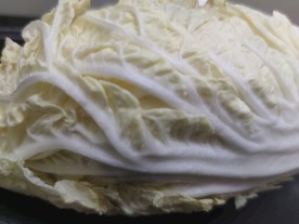 微距白菜