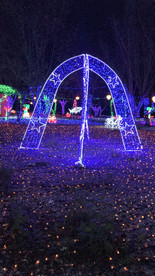 夜间公园灯光一角之蓝灯拍摄