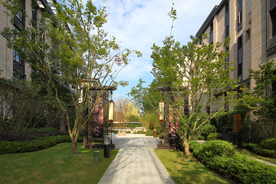 地产 洋房 实拍 高清 小区