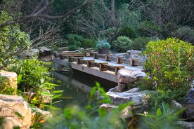 地产 洋房 实拍 高清 小区