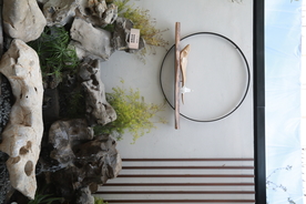 地产 新中式 别墅 实拍 院子