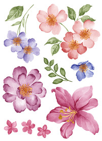 手绘花