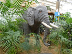 大象雕塑