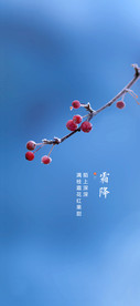 霜降节气海报