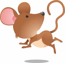 小老鼠
