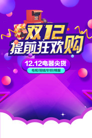 双11 双12购物节