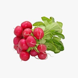 红罗卜