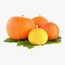 南瓜