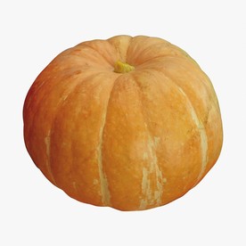 南瓜