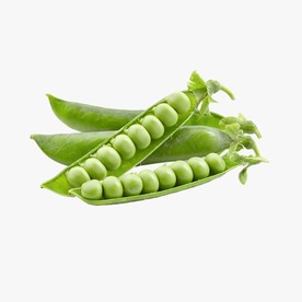 豌豆