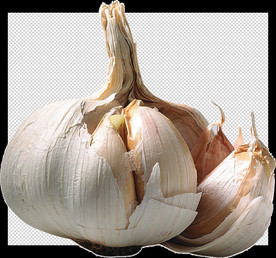 蒜