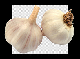 蒜