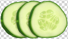 黄瓜 丝瓜片
